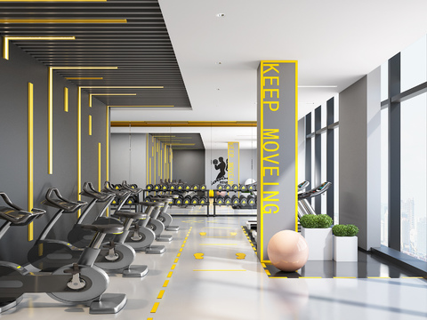 Modern Gym