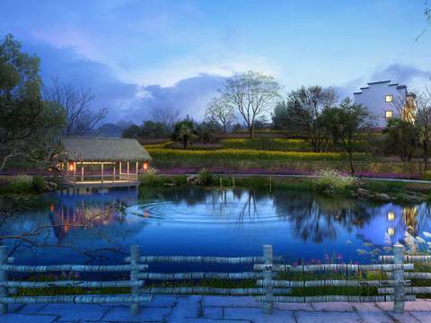 modern wetland garden night landscape psd