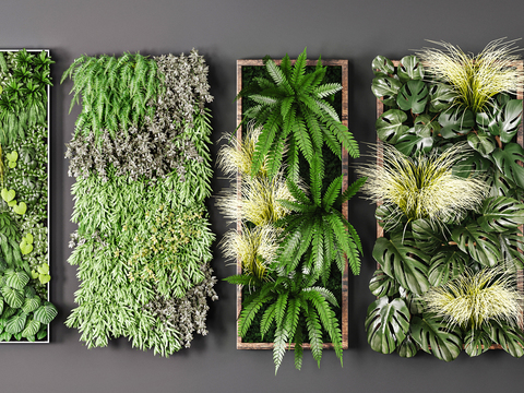 Modern Plant Wall