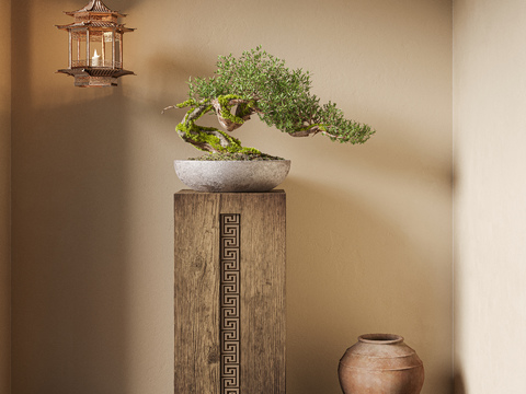 New Chinese Bonsai Bonsai Pine