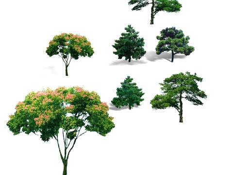 modern big tree tree landscape tree psd