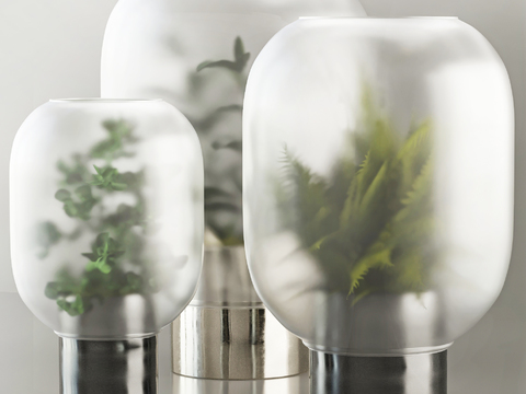 Modern hydroponic plant ornaments