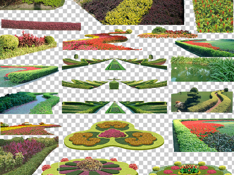 modern flowers green plant bushes psd