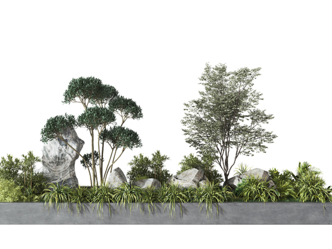 Modern Landscape Plants