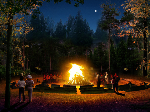 night scene of bonfire party psd