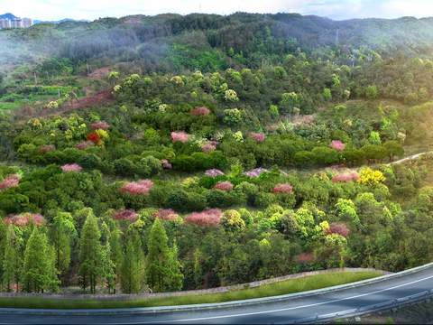 hillside mountain retaining wall vegetation psd