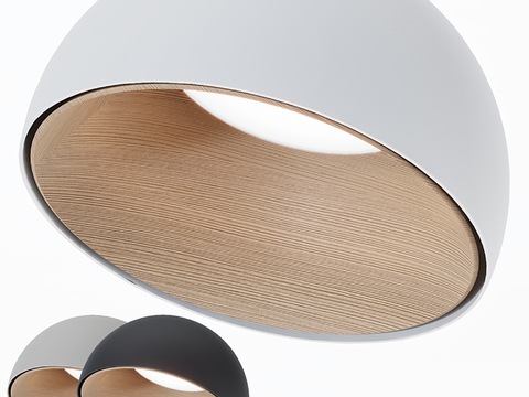 Moooi Ceiling Lamp