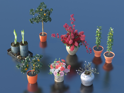 flower bonsai fruit tree bonsai