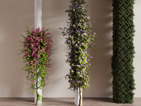 vine climbing ivy decorative column