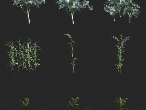 sea holly reed fern hemp flowers