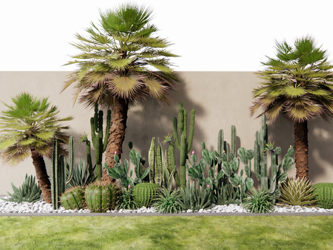 plant landscaping Plantss cactus palm tree