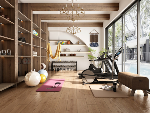 Home Gym Recreation Room