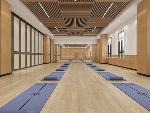 Dance Room Modern Yoga Studio