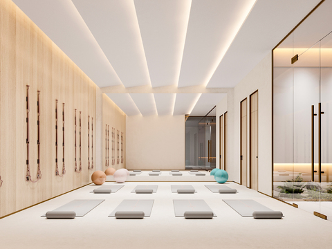 Modern Yoga Studio