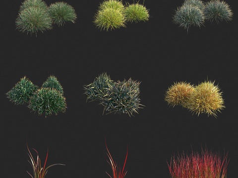 haystack red baron white grass bloodgrass flowers