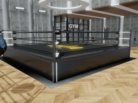 modern gym boxing gym