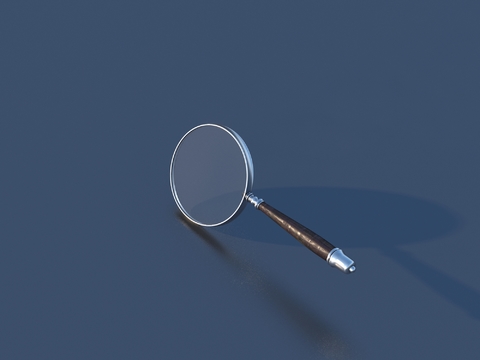 Magnifier Concave-Convex Mirror