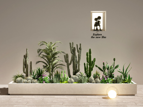 Cactus Landscape Plants