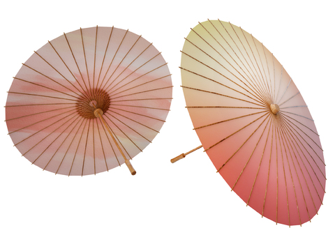 Neo-Chinese Style Oil Paper Umbrella Flower Umbrella