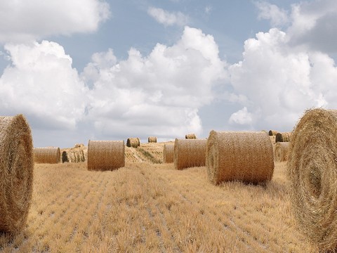 Hay Bale Farmland Landscape