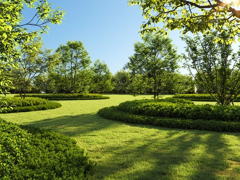 Garden Landscape Hedge Shrub Lawn