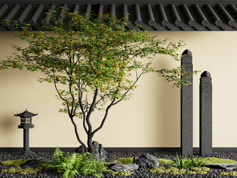 Garden Landscape tree