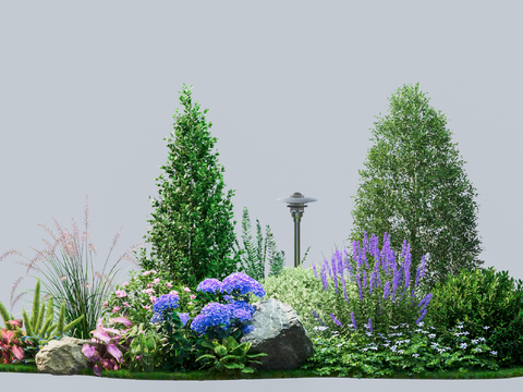 Shrub Flower Plants