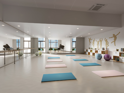 Dance Room Activity Room Yoga Studio