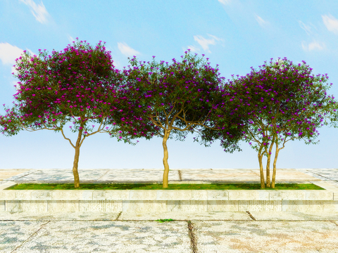 landscape tree arbor flowering tree