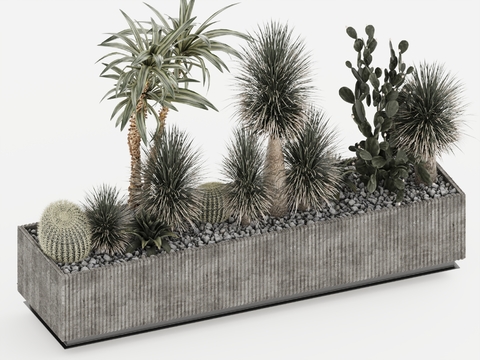 Outdoor Flower Box Flower Groove Cactus