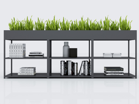 Modern Shelf Bookshelf