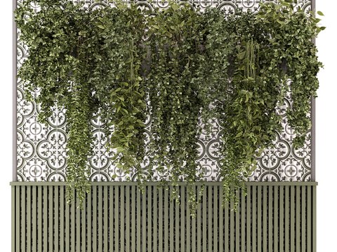 plant wall green plant wall hanging plant