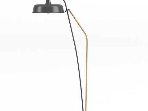 Ligne Roset Floor Lamp