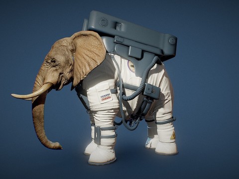 The Modern Elephant