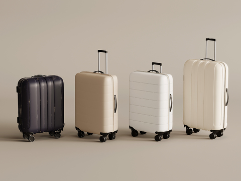 Modern Luggage Case Luggage Case