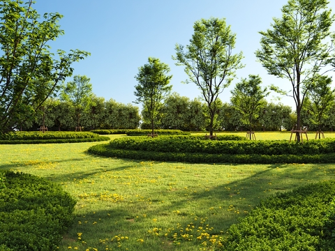 Garden Landscape Hedge Shrub Lawn