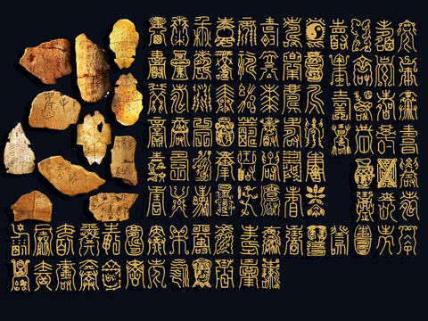 Modern Oracle Tortoise Bone Historical Relics