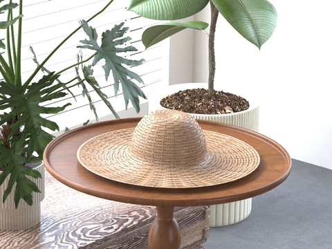 Straw hat rattan hat