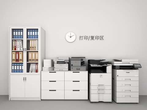 Printer Copier Filing Cabinet Data Cabinet