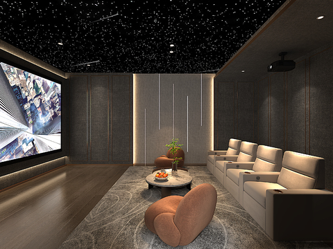 AV Room Private Theater Home Theater