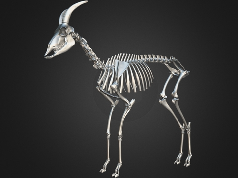 Goat Skeleton Sculpture Animal Skeleton Ornaments