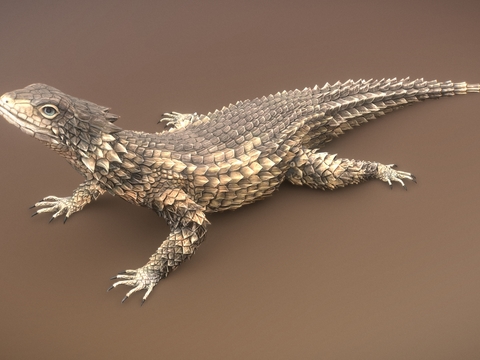 reptile lizard