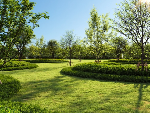 Garden Landscape Hedge Shrub Lawn