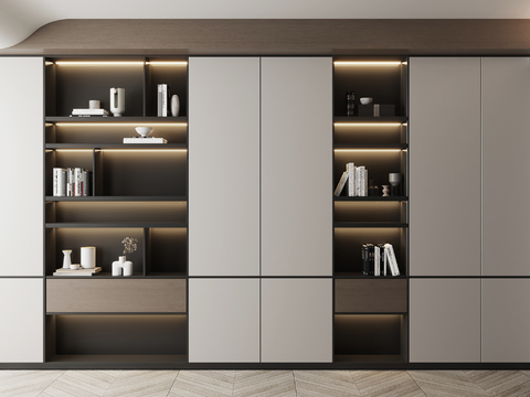 Modern Cabinet Bookcase