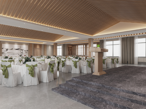 Modern Hotel Ballroom