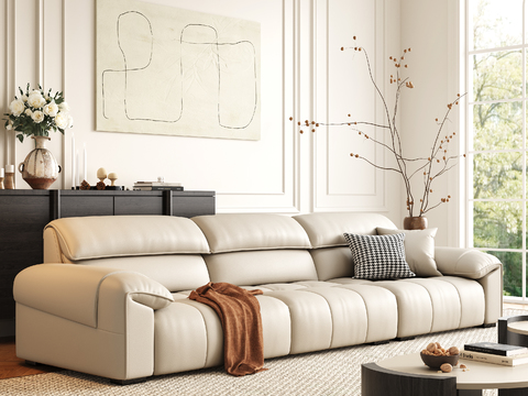 Couch leather sofa