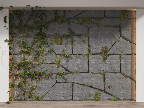 Plant Wall Vine Wall Stone Wall