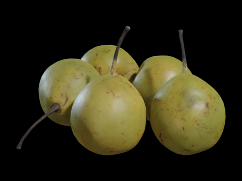 Fruit Pear