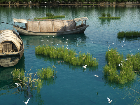 Wetland Lake Bird Wetland Park Landscape