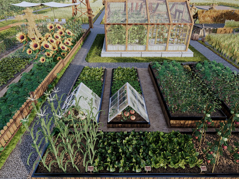 Vegetable Garden